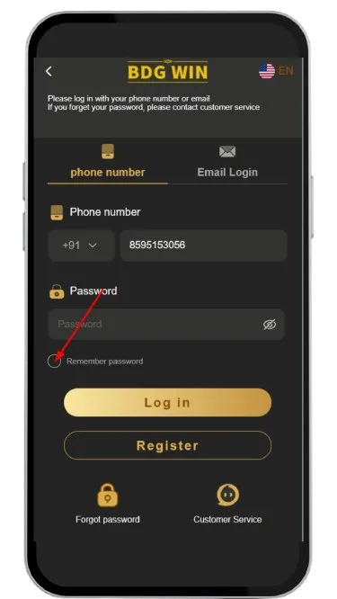 Click on Remember Password